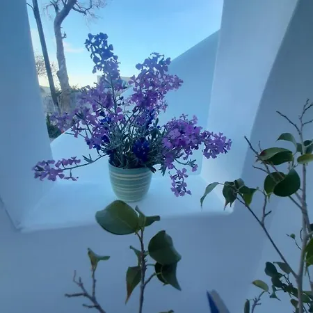 Atlantida Spacious Flat