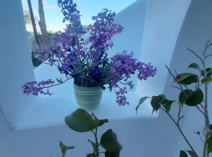 Atlantida Spacious Flat