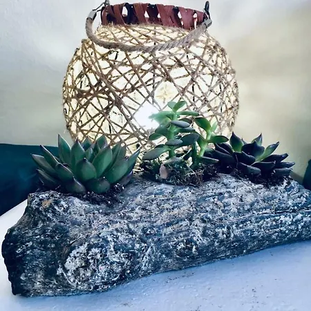 Atlantida Spacious Flat *