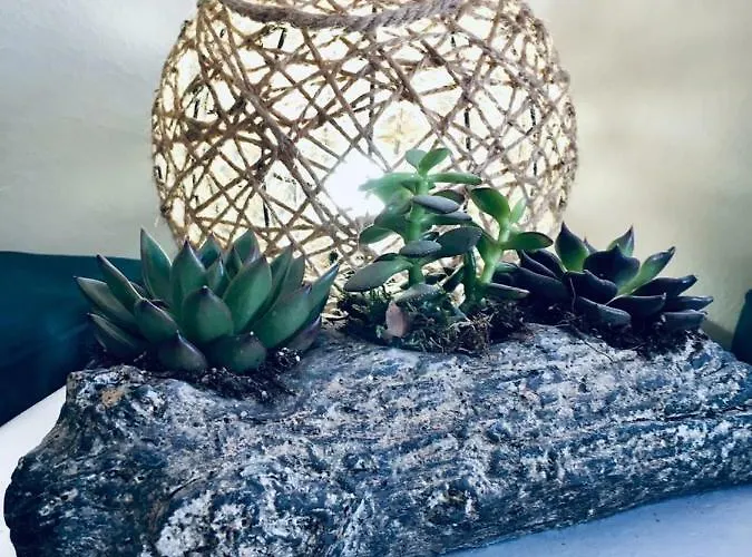 Atlantida Spacious Flat *